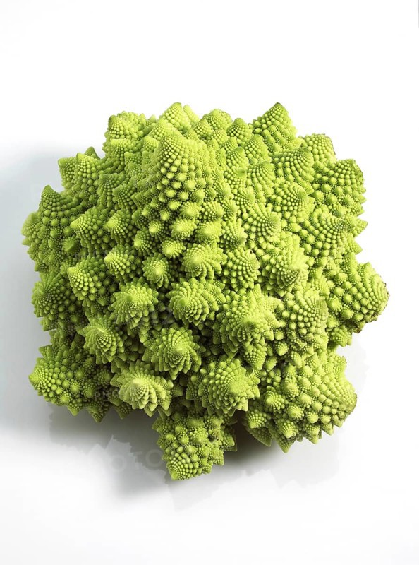 Romanesco Cabbage (brassica) oleracea, Vegetable against White Background