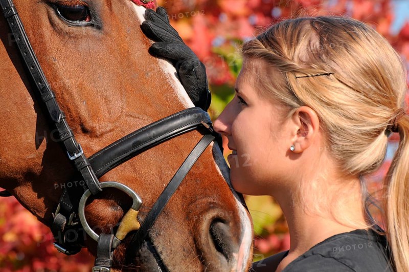 Wife and german warmblood, german riding horse, bridle