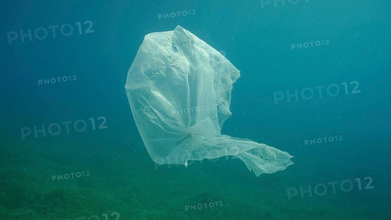 Old plastic bag drifting in water column over seagrass meadow. Plastic bag floating underwater on the blue depth, environmental pollution. Plastic pollution of Ocean, Red sea, Safaga, Egypt, Africa