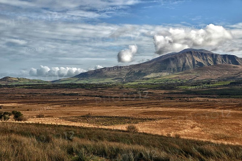 Slieve Mish Mountains, Ballyarkane Oughter, Dingle Peninsula, County Kerry, Ireland, Europe