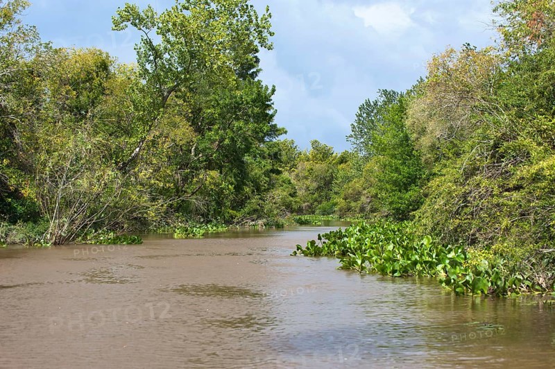Canal, Parana Delta, Tigre, Buenos Aires, Argentina, South America
