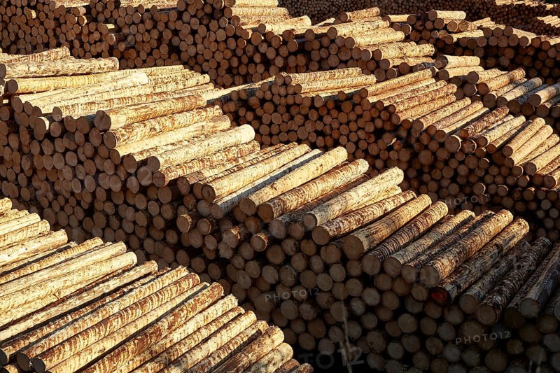 Hasslacher Norica Timber sawmill and pellet plant, Sachsenburg, Carinthia, Austria, Europe