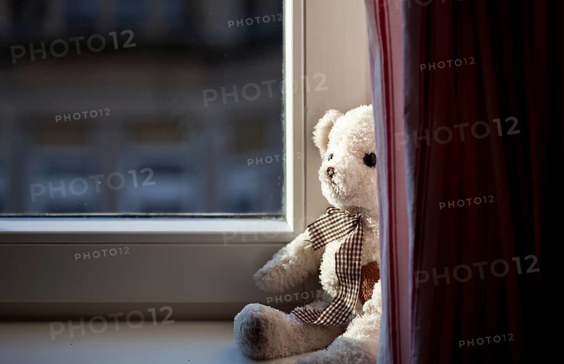 Toy bear sitting at the window, illuminated by warm sunlight