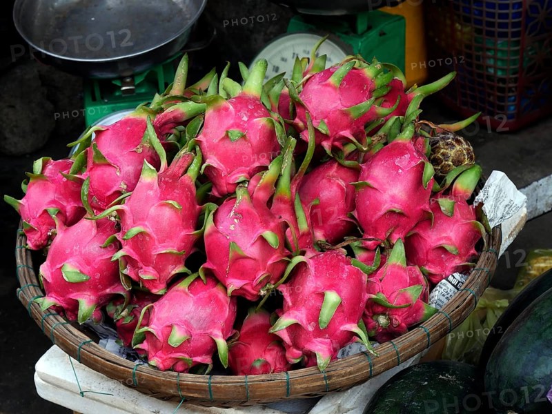 Vietnam, Quang Nam Province, Hoi An City, Old City listed at World Heritage site by Unesco, the Market, Stall with Pitaya blanca or white-fleshed pitaya, Asia