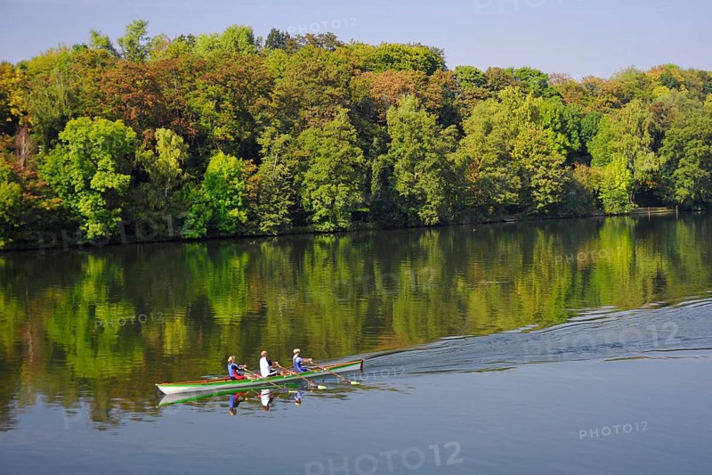Rowers on Lake Baldeney, Essen-Kupferdreh, Ruhr Area, North Rhine-Westphalia, Germany, Europe