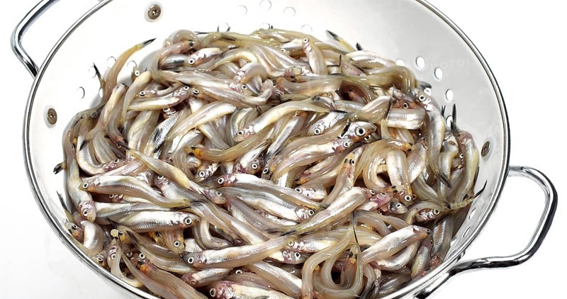 Fresh Smelts (osmerus eperlanus) into Dish Drainer against White Background