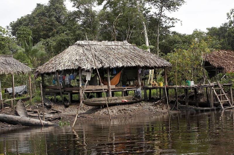 The village of the Warao, Indians in the Orinoco Delta, Venezuela, South America