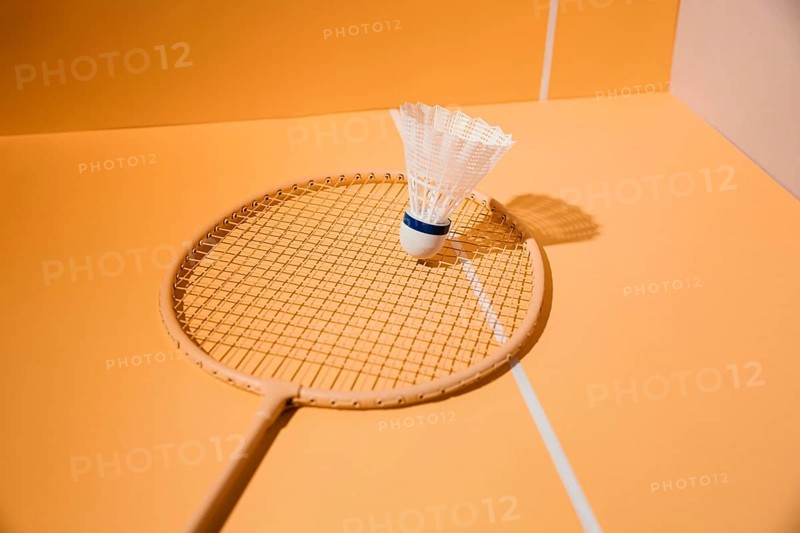 Badminton racket shuttlecock assortment