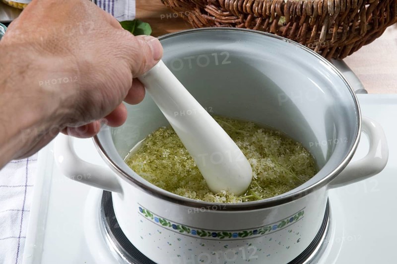 Elder (Sambucus nigra), production of elderberry ointment, cooking elderberry flowers, pot, cooking pot, stove, oven