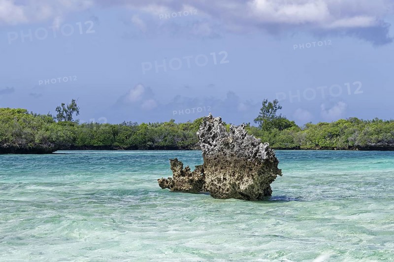 Mangroves, Mushroom Rocks, turquoise blue water, blue sky with white clouds, UNESCO World Heritage Site, Aldabra Atoll, Seychelles, Africa