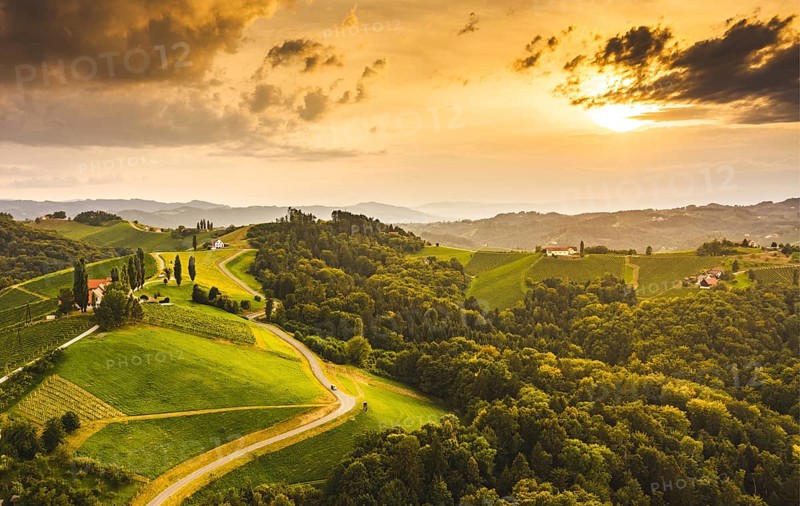 South styria vineyards aerial landscape, near Gamlitz, Austria, Eckberg, Europe. Grape hills view from wine road in summer. Tourist destination, travel spot, Europe
