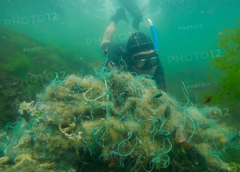 Freediver picks up lost fishing net lies on green algae in sun glare on shallow water in Black sea, Ghost gear pollution of Ocean, Black sea, Odessa, Ukraine, Europe
