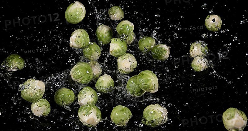 Brussels Sprouts (brassica) oleracea, Vegetable falling into Water against Black Background