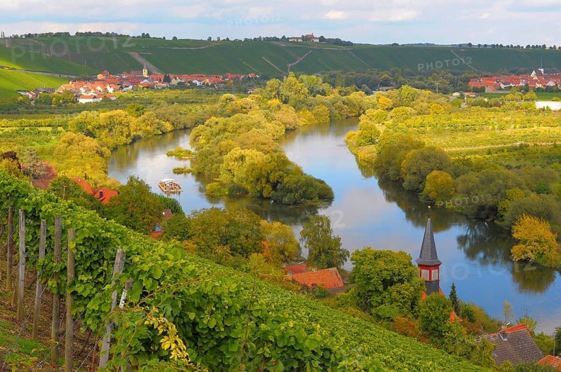 Bavaria, Franconia, Franconian country, Escherndorf Altmain, vineyards near Escherndorf