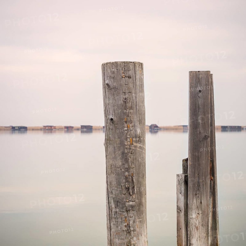 Pegs on the lake