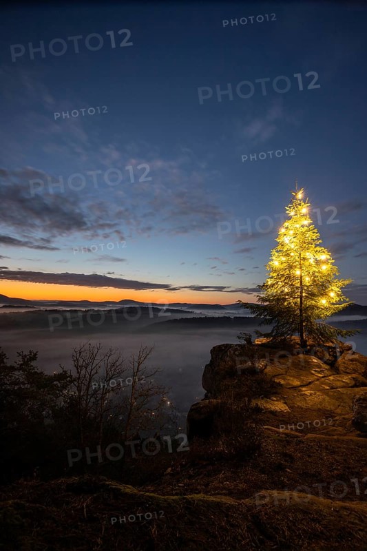 Exhilarating sunrise at the Wachtfelsen. Magical morning mist, clouds and a Christmas tree in the morning light, Wernersberg, Palatinate Forest