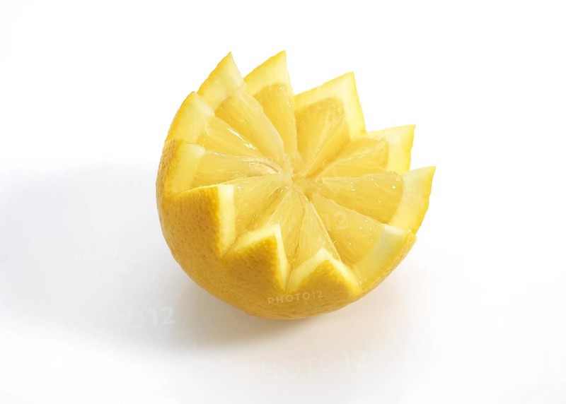 Um, lemon (Citrus limon), lemon tree rhombus, YELLOW LEMON Citrus lemon against white background