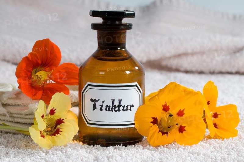 Nasturtium (Tropaeolum majus), nasturtium tincture (tincture)