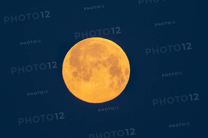 Full moon shining orange in blue morning sky