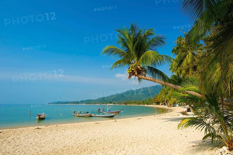 Lamai Beach, Ko Samui Island, Thailand, Southern Thailand, Palm Beach, Palm Trees, Asia