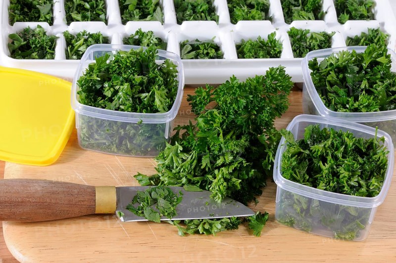 Chopped parsley (Petroselinum crispum), preparation for freezing, knife