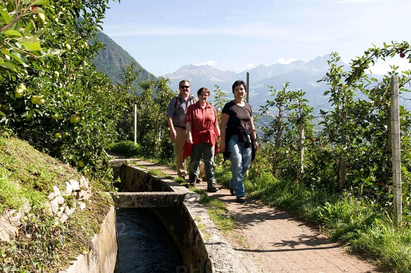 Hiker on Waalweg, Algund, Merano, South Tyrol, Italie (Hiker) on Waalweg, Algund, Merano, South Tyrol, Italy, Europe