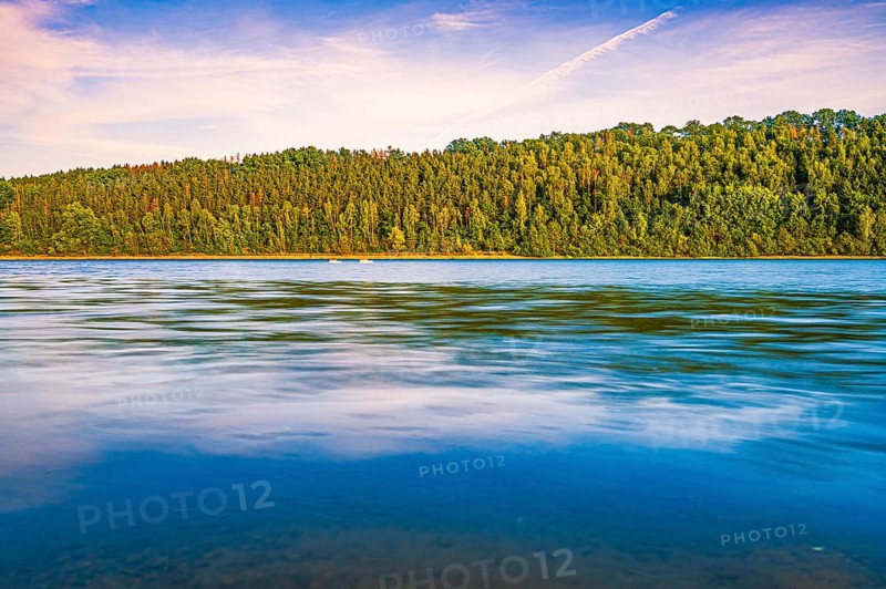 View of the coniferous forest at the Zeulenroda Sea at sunset, Zeulenroda-Triebes, Thuringia, Germany, Europe