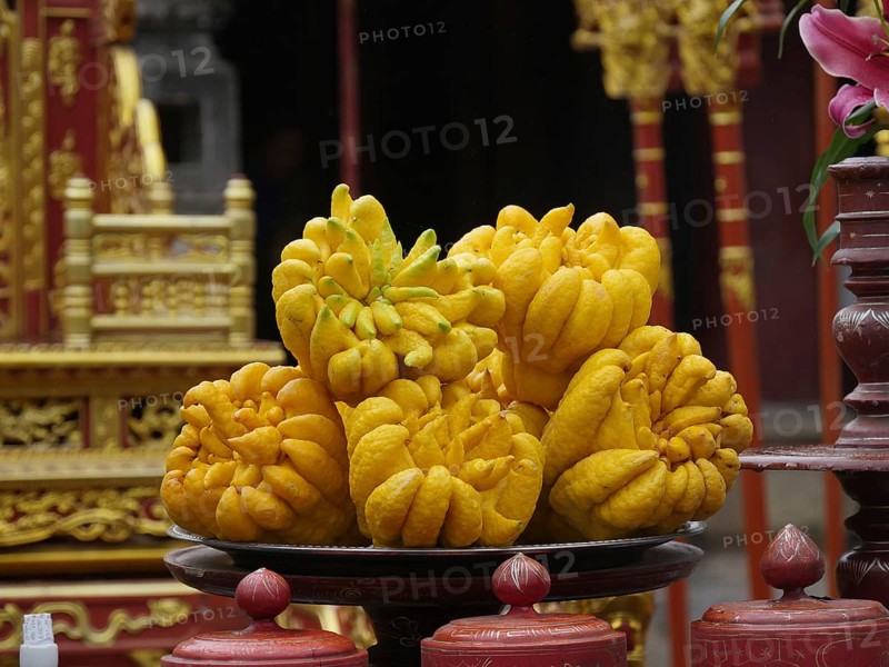 Vietnam, Hoa Lu, Dinh Emperor's Grave, Buddha's Hand sarcodactylis, or the fingered citron (citrus medica), is an unusually shaped citron variety whose fruit is segmented into finger-like sections, resembling a human hand, Asia
