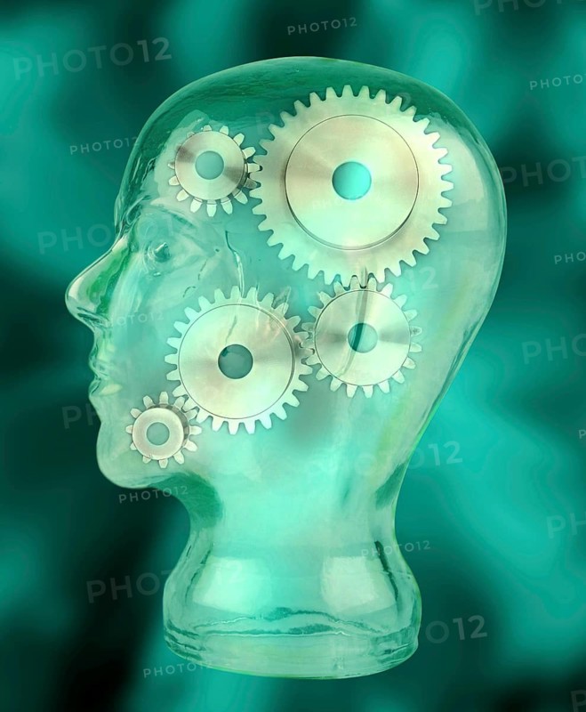 Symbolic Image of Head and Gears