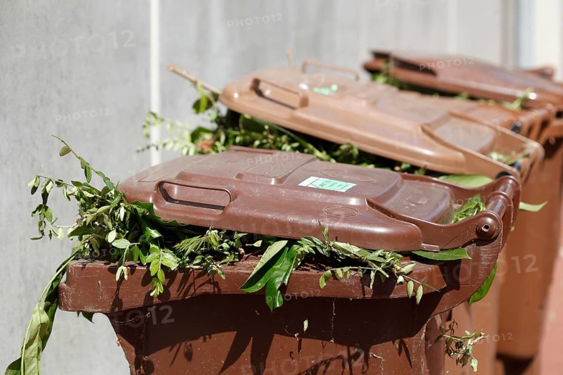 Organic bins, waste bins, Germany, Europe