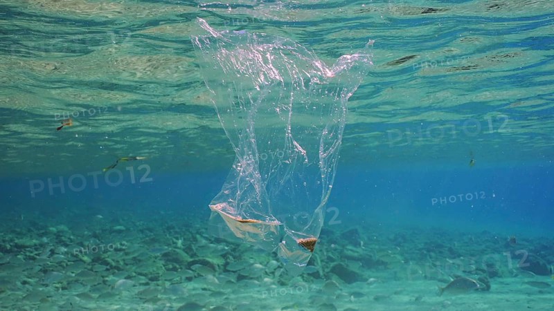 Plastic bag floating underwater. Transparent plastic bag drifts under surface of water, tropical fish swim nearby. Plastic pollution of Ocean, Red sea, Safaga, Egypt, Africa