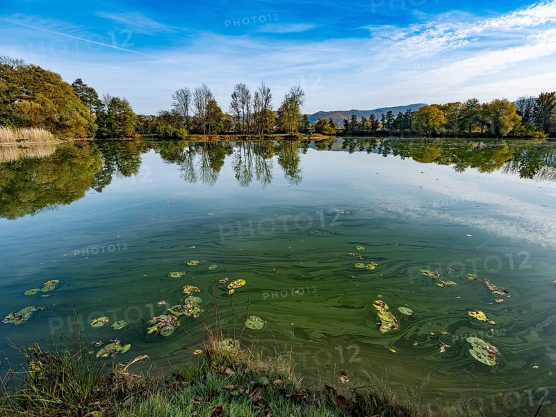 Quarry pond Bruchteiche, Bad Sooden-Allendorf, Hesse, Germany, Europe
