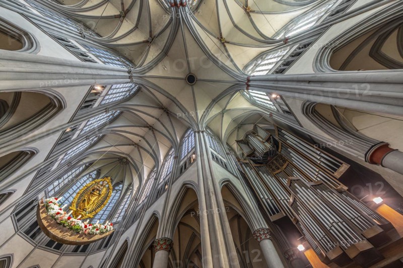 Altenberg Cathedral (also Bergischer Dom), interior view with ceiling vault, organ and Radiant Crown Madonna (c. 1530), former monastery church of Altenberg Abbey, built by the Cistercians from 1133, Odenthal, North Rhine-Westphalia, Germany, Europe