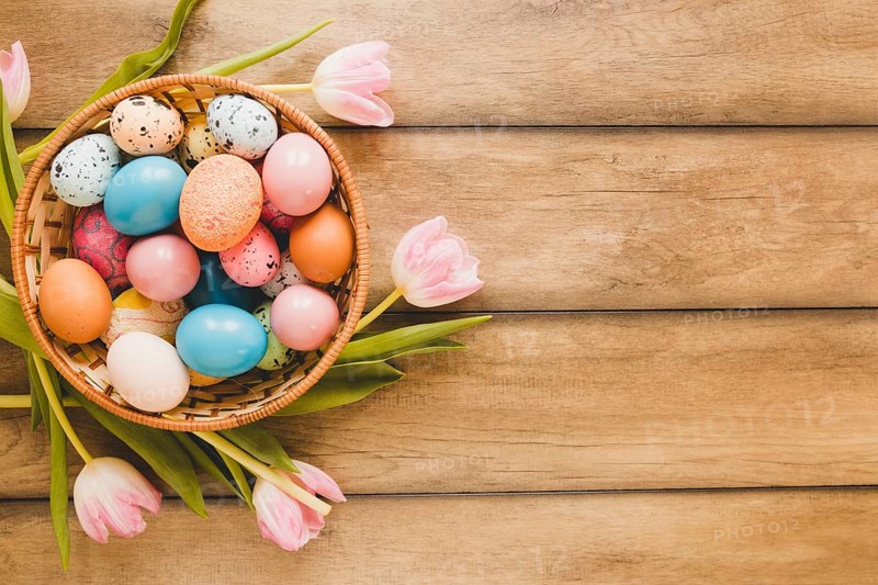 Tulips around bowl with eggs. Beautiful photo