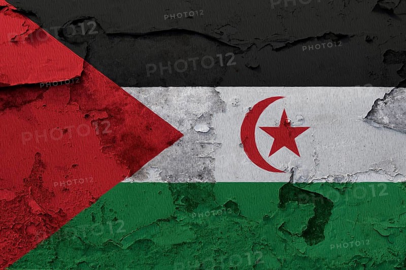 Western Sahara Flag painted on the cracked grunge concrete wall