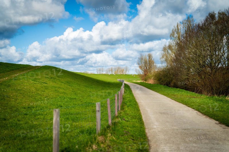 A path leads through a spring-like landscape with green meadows and a clear sky, Leer, East Frisia, Lower Saxony