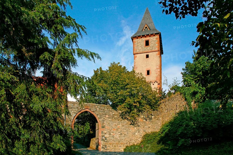 Frankenstein Castle, built in front of 1250, Odenwald, Bergstrasse, near Darmstadt, Hesse, Germany, Europe