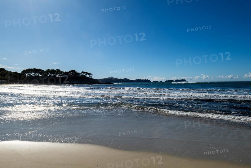 View from the beach promenade at Playa Palmira in Paguera or Peguera, municipality of Calvià, Majorca, Balearic Islands, Spain, Europe