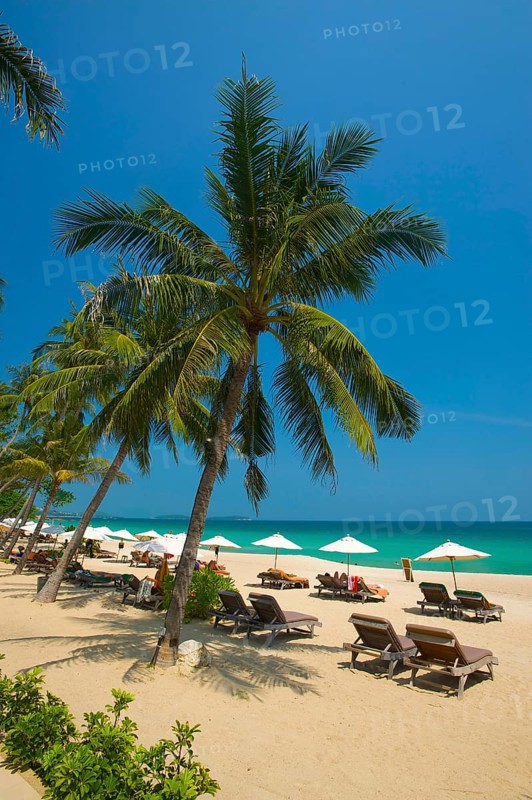 Palm Beach, Southern Thailand, Chaweng Beach, Ko Samui Island, Thailand, Asia