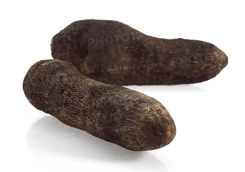 Yam (dioscorea) against White Background