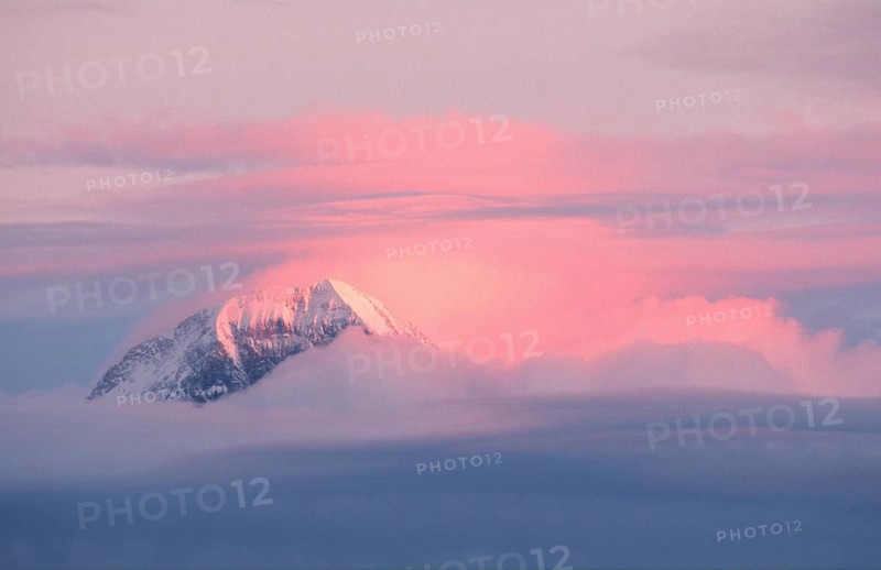 Alpine peaks and clouds in the evening light (Eiger Mönch), Bernese Oberland (dusk) (twilight) (Europe) (Landscapes) (landscapes) (mountains) (landscape) (horizontal), View from Niederhorn, Switzerland, Europe