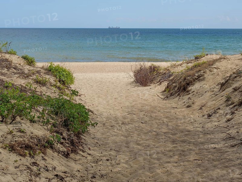 Path through the dunes to the sea, plants on the sides, calm water in the background, sopot, baltic sea, poland