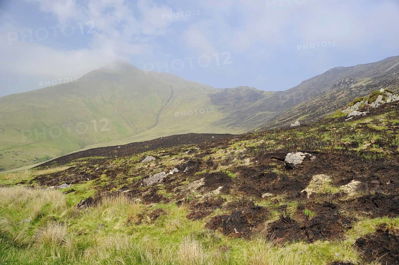 Slieve Mish Mountains, Burning Meadows, Ballyarkane Oughter, County Kerry, Ireland, Europe