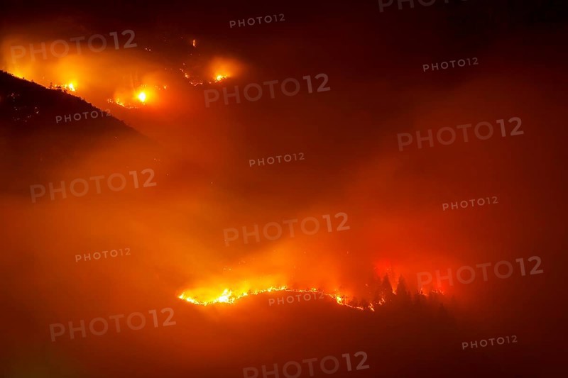 Forest fire on Mt Hochmahdkopf, Tyrol, Austria, Europe