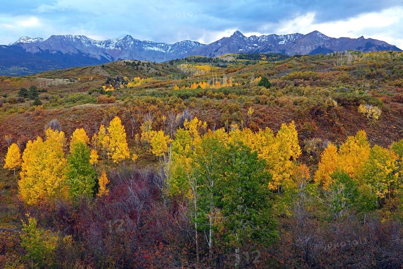 View from Dallas Divide to Sneffles Range, Ridgway, Colorado, USA, North America