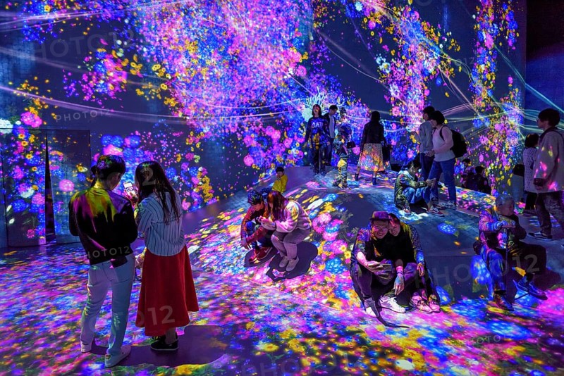 Digital Art Museum, Epson Team Lab Borderless, Odaiba Island, Tokyo, Japan, Asia