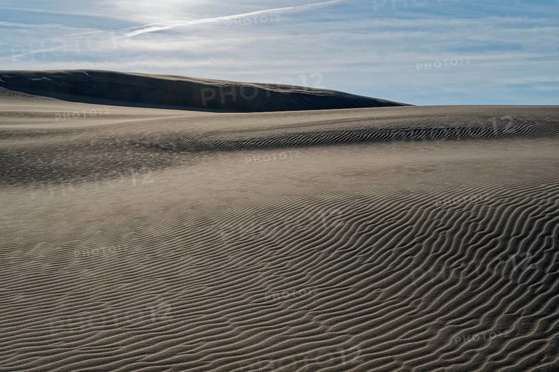 Dune landscape around the Lontz Dune, Wydma Lacka, the largest travelling dune on the Polish Baltic coast. It is located in the Slowinski National Park and is part of the UNESCO Slowinksi Biosphere Reserve. Leba, Pomerania, Poland, Europe