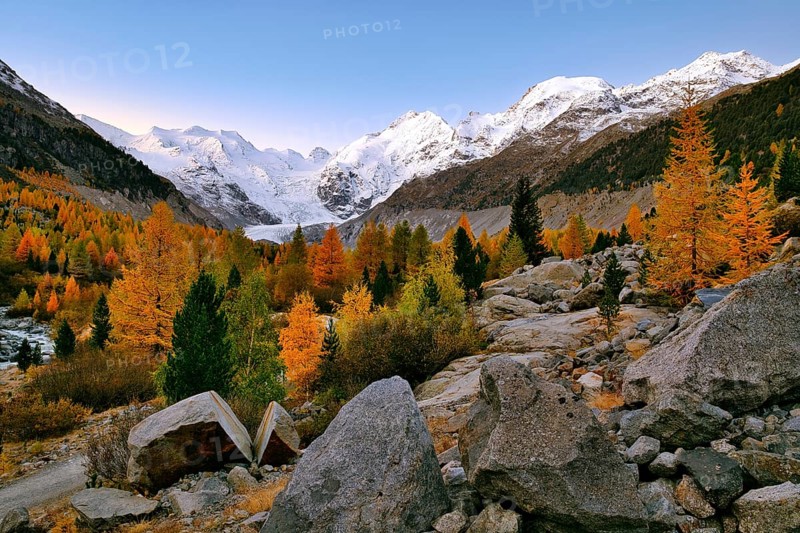 Autumn-coloured valley at dawn, Morteratsch, Engadin, Canton Graubünden, Switzerland, Europe
