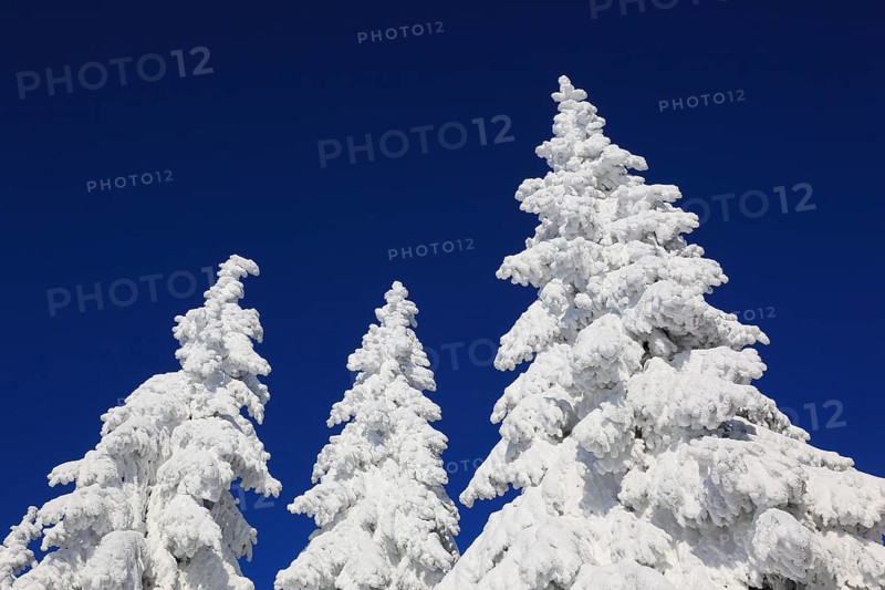 Winter landscape in the Fichtelgebirge, Bayreuth district, Upper Franconia, Bavaria, Germany, Europe