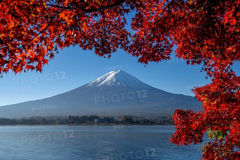 Volcano Fuji or Fudschijama with snow at the summit, 3776 m, with Lake Kawaguchi, framed by red autumn leaves, near Fujikawaguchiko, Yamanashi Prefecture, Honshu Island, Japan, Asia